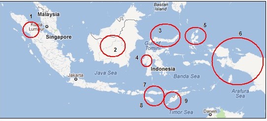 Chrześcijaństwo w Indonezji