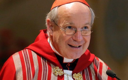 Austriacki kardynał Christoph Schönborn, arcybiskup Wiednia, wyraził nadzieję, że Bliski Wschód znowu stanie się chrześcijański