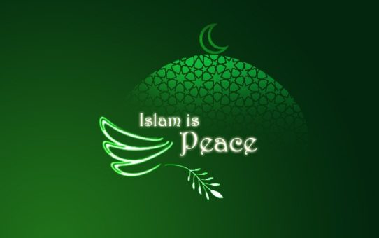 Islam niesie pokój, a krew się leje